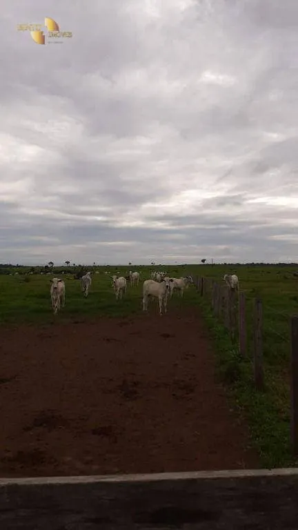 Fazenda à venda de 1.885 ha em Juína, MT, Brasil