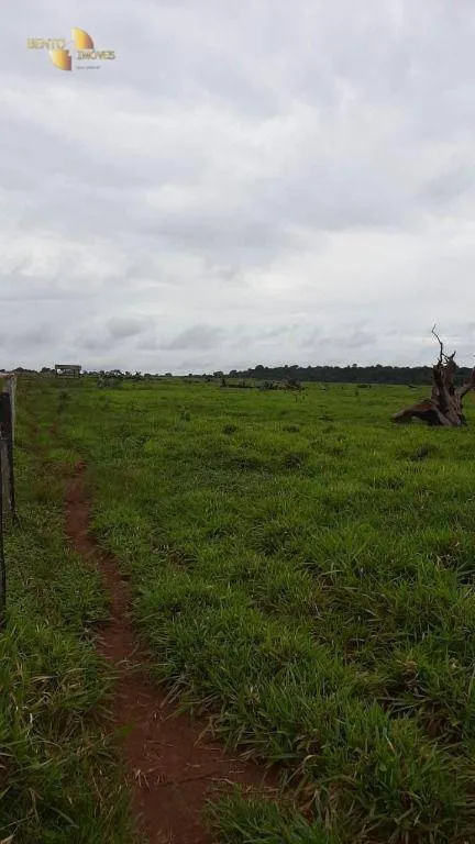 Fazenda à venda de 1.885 ha em Juína, MT, Brasil