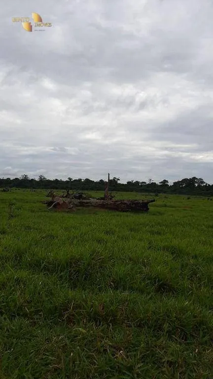 Fazenda à venda de 1.885 ha em Juína, MT, Brasil