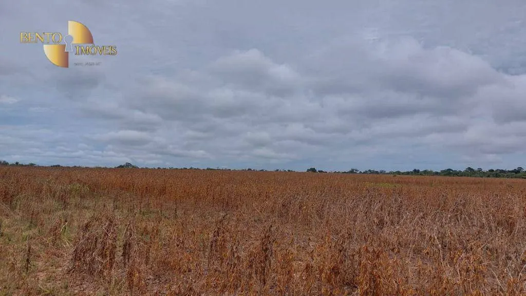 Fazenda à venda de 1.885 ha em Juína, MT, Brasil