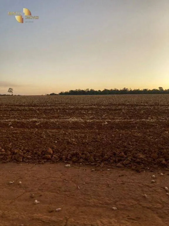 Fazenda à venda de 1.885 ha em Juína, MT, Brasil