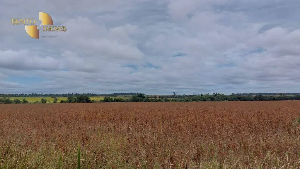 Fazenda à venda de 1.885 ha em Juína, MT, Brasil