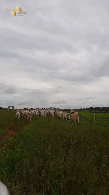 Fazenda à venda de 1.885 ha em Juína, MT, Brasil