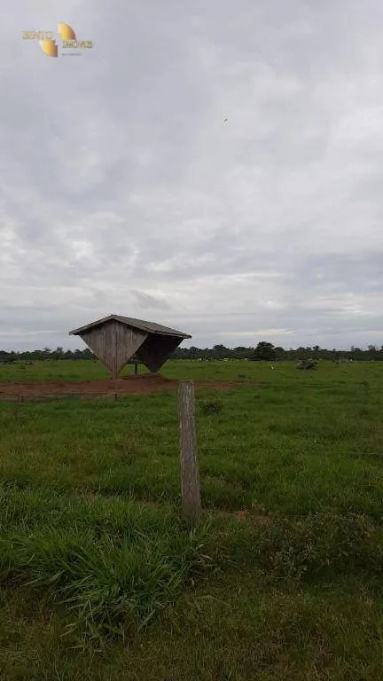 Fazenda à venda de 1.885 ha em Juína, MT, Brasil