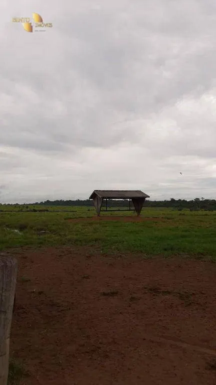 Fazenda à venda de 1.885 ha em Juína, MT, Brasil