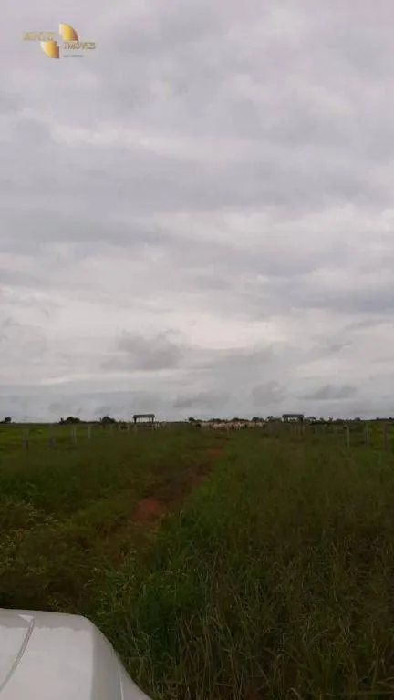 Fazenda à venda de 1.885 ha em Juína, MT, Brasil