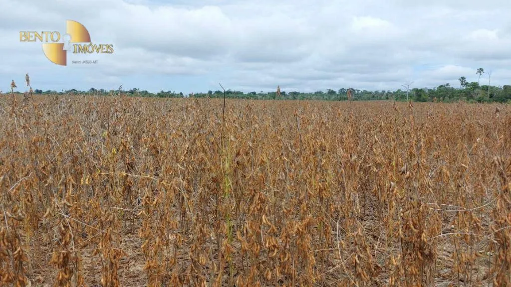 Fazenda à venda de 1.885 ha em Juína, MT, Brasil