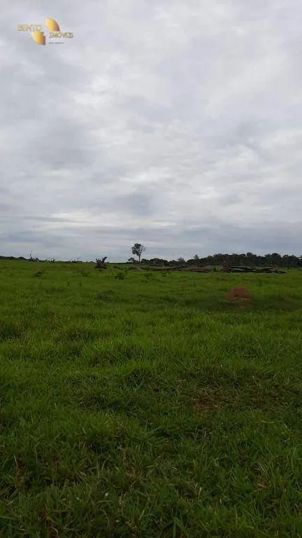 Fazenda à venda de 1.885 ha em Juína, MT, Brasil
