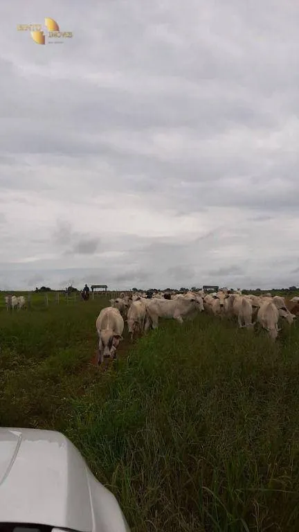Fazenda à venda de 1.885 ha em Juína, MT, Brasil