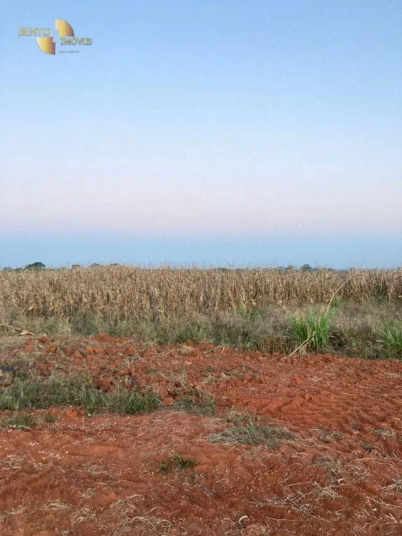 Fazenda à venda de 1.885 ha em Juína, MT, Brasil