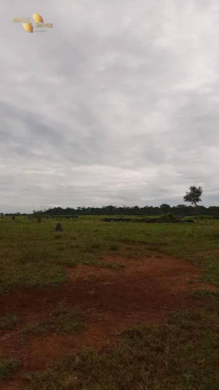 Fazenda à venda de 1.885 ha em Juína, MT, Brasil