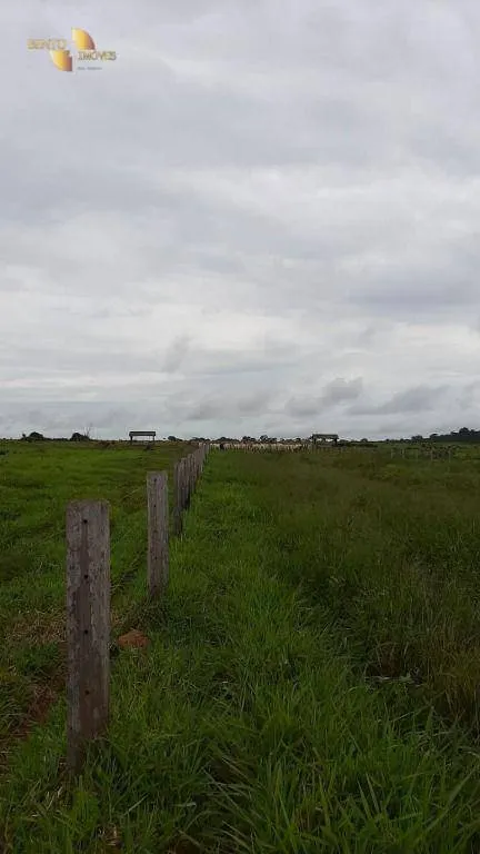 Fazenda à venda de 1.885 ha em Juína, MT, Brasil
