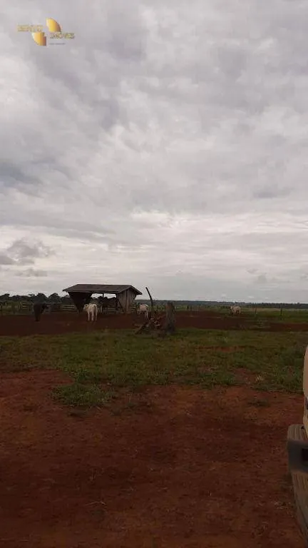Fazenda à venda de 1.885 ha em Juína, MT, Brasil