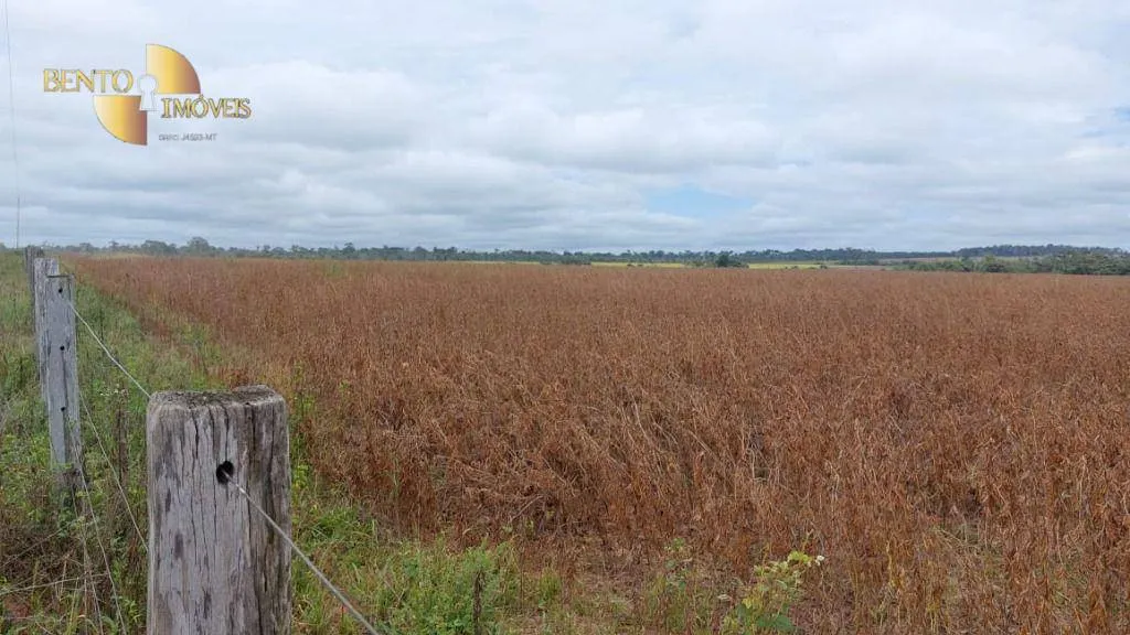 Fazenda à venda de 1.885 ha em Juína, MT, Brasil