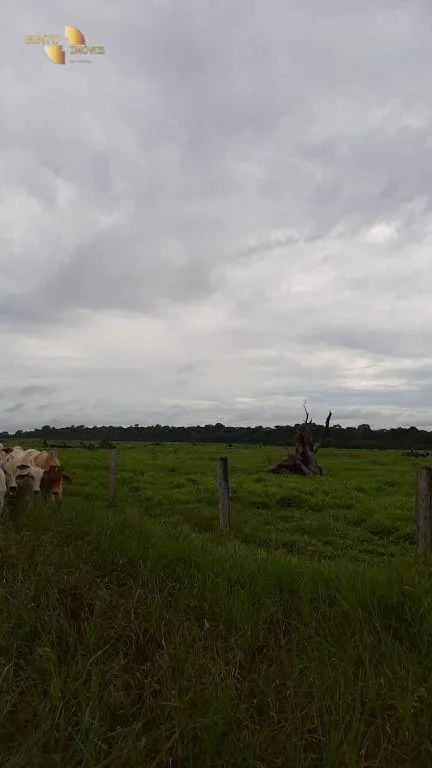 Fazenda à venda de 1.885 ha em Juína, MT, Brasil