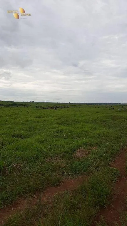 Fazenda à venda de 1.885 ha em Juína, MT, Brasil