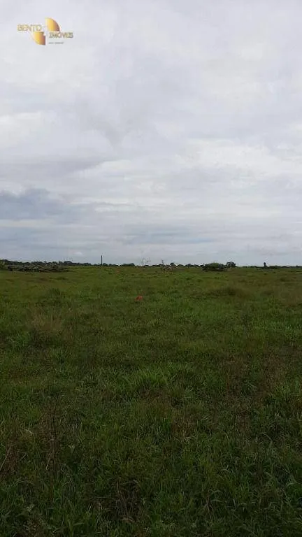 Fazenda à venda de 1.885 ha em Juína, MT, Brasil
