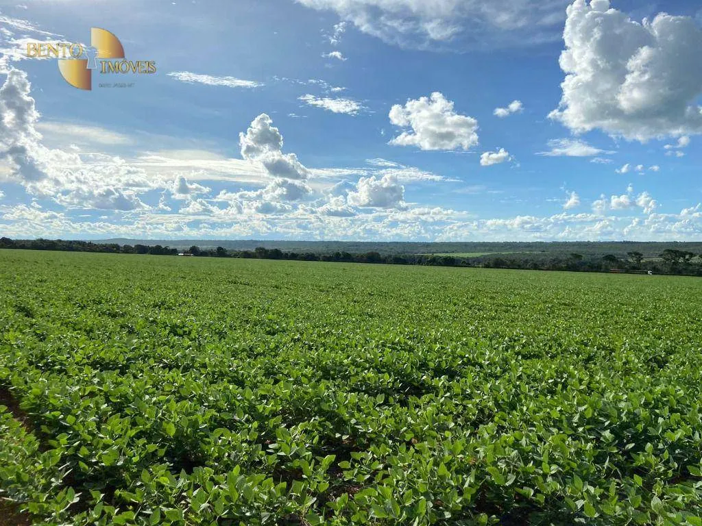 Fazenda à venda de 1.885 ha em Juína, MT, Brasil