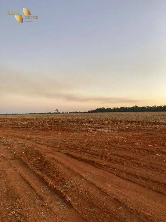Fazenda à venda de 1.885 ha em Juína, MT, Brasil