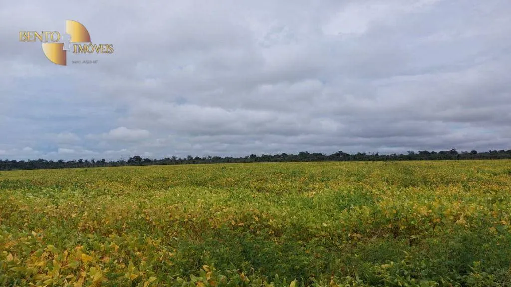 Fazenda à venda de 1.885 ha em Juína, MT, Brasil