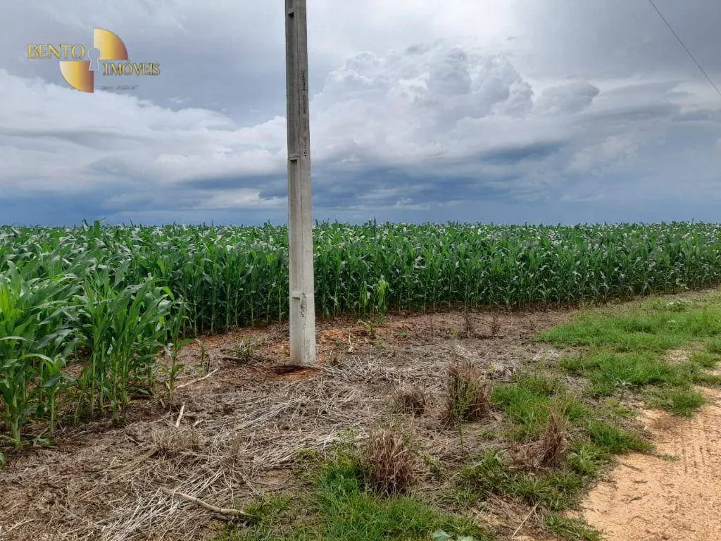 Fazenda à venda de 1.885 ha em Juína, MT, Brasil