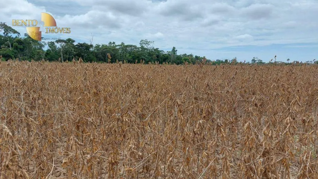 Fazenda à venda de 1.885 ha em Juína, MT, Brasil