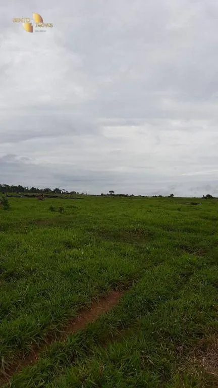 Fazenda à venda de 1.885 ha em Juína, MT, Brasil