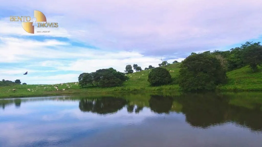 Farm for sale of 4,119 acres in Poconé, MT, Brazil