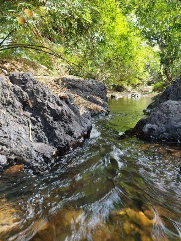 Farm for sale of 4,119 acres in Poconé, MT, Brazil