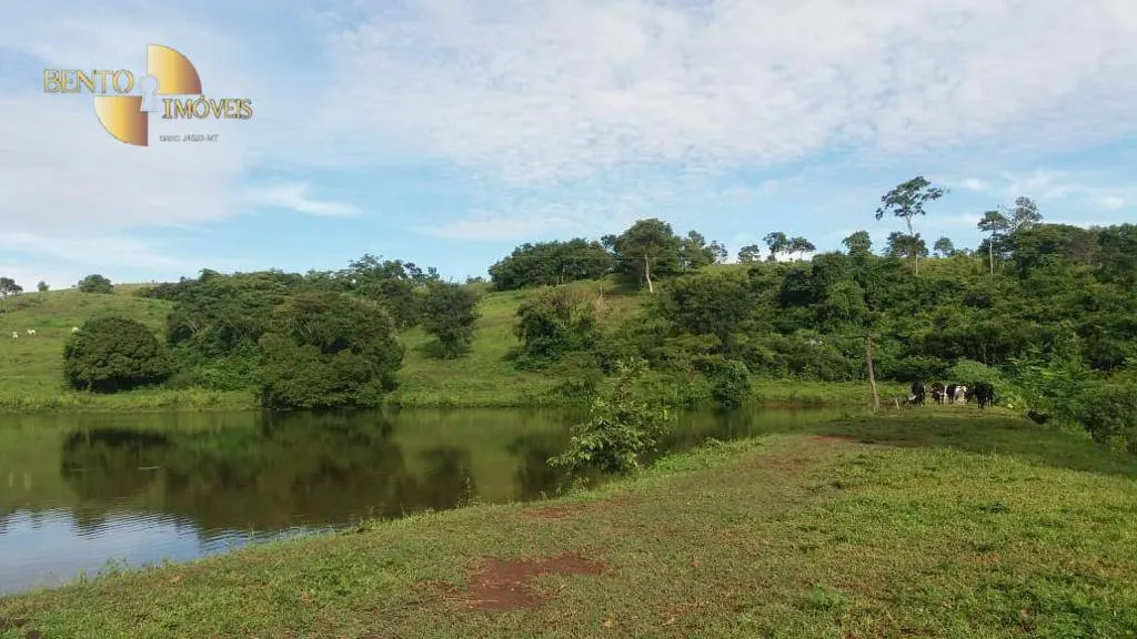 Farm for sale of 4,119 acres in Poconé, MT, Brazil