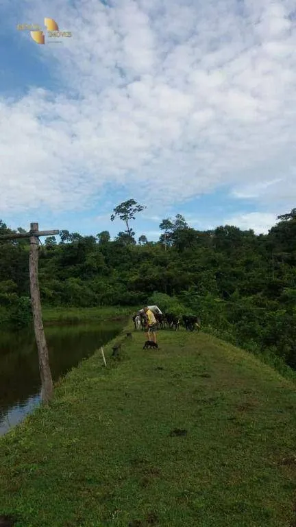 Farm for sale of 4,119 acres in Poconé, MT, Brazil