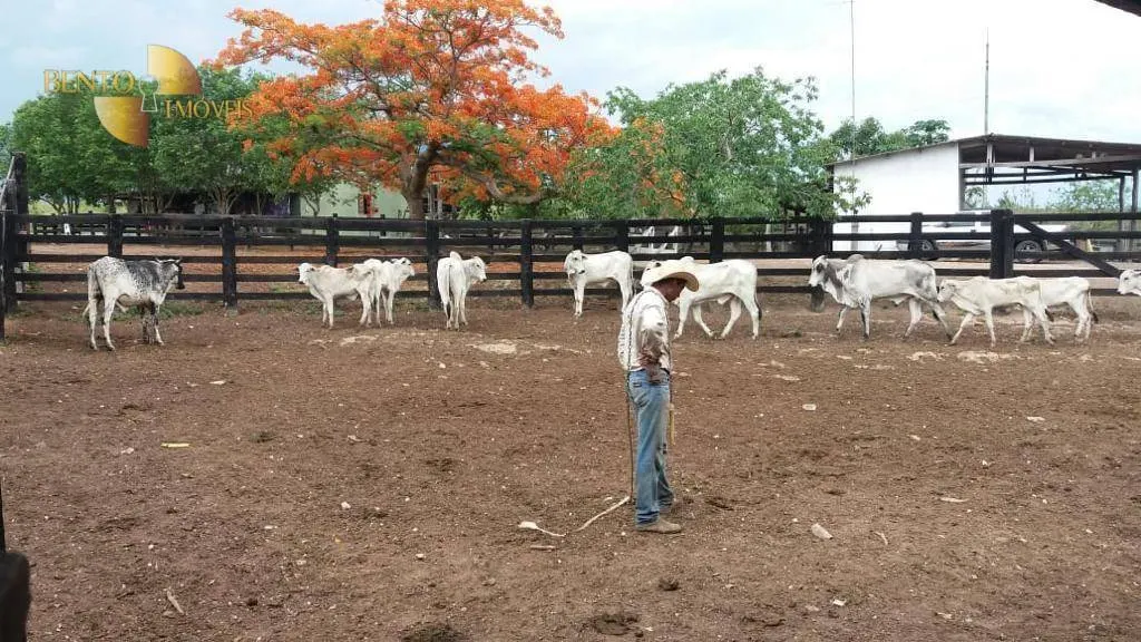 Farm for sale of 4,119 acres in Poconé, MT, Brazil