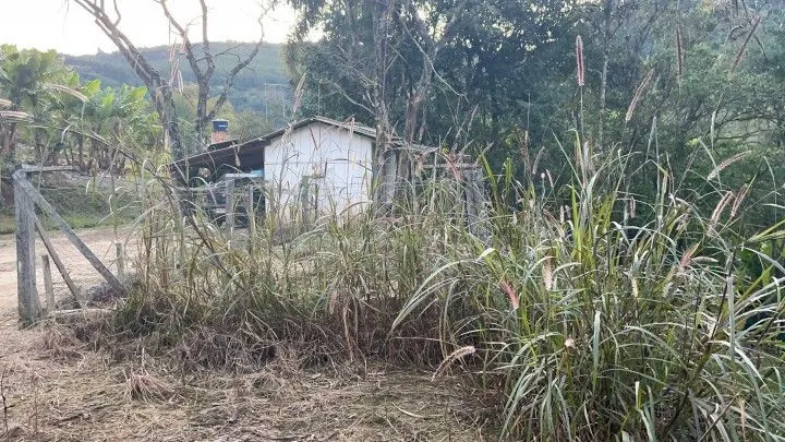 Chácara à venda de 1 ha em Rolante, RS, Brasil