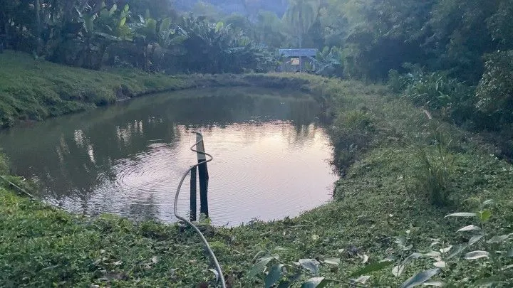Chácara à venda de 1 ha em Rolante, RS, Brasil