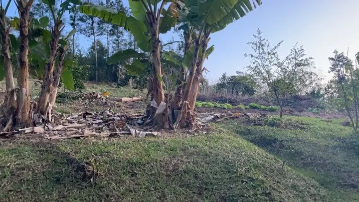 Chácara à venda de 1 ha em Rolante, RS, Brasil