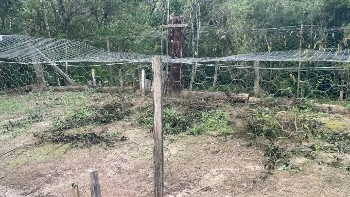 Chácara à venda de 1 ha em Rolante, RS, Brasil
