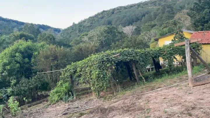 Chácara à venda de 1 ha em Rolante, RS, Brasil