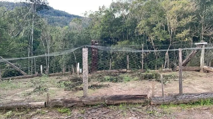 Chácara à venda de 1 ha em Rolante, RS, Brasil