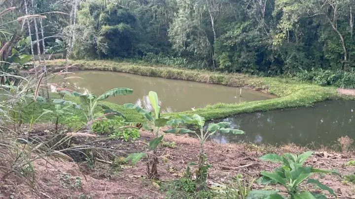 Chácara à venda de 1 ha em Rolante, RS, Brasil
