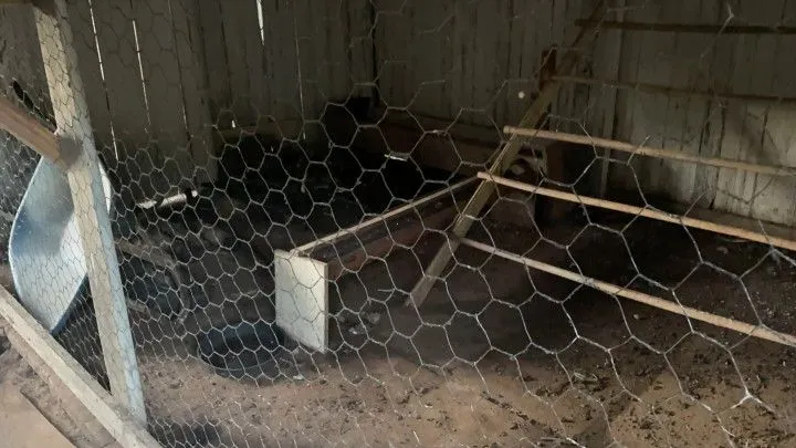 Chácara à venda de 1 ha em Rolante, RS, Brasil