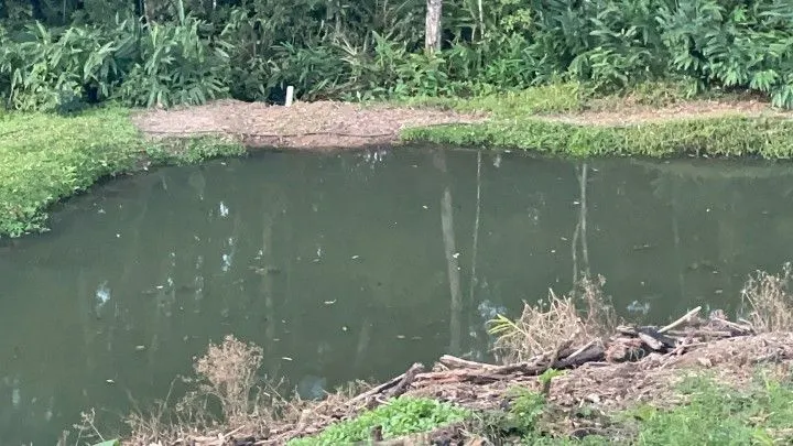 Chácara à venda de 1 ha em Rolante, RS, Brasil