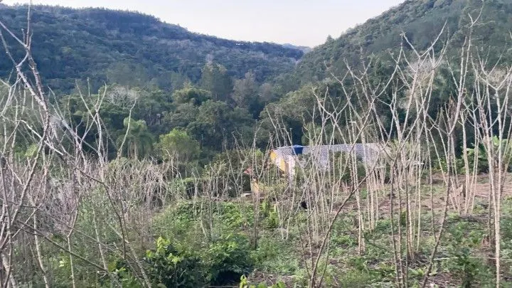 Chácara à venda de 1 ha em Rolante, RS, Brasil