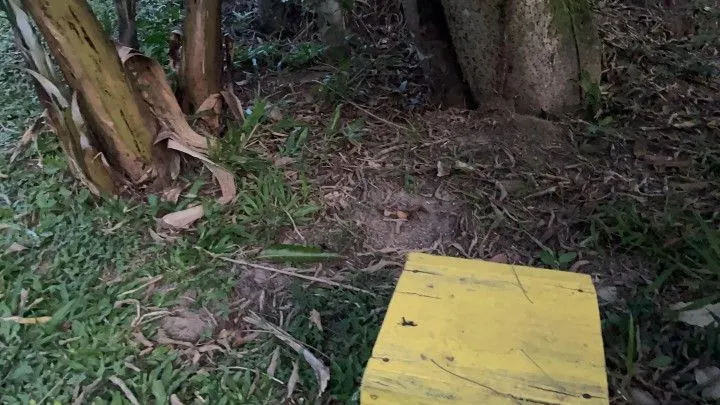Chácara à venda de 1 ha em Rolante, RS, Brasil