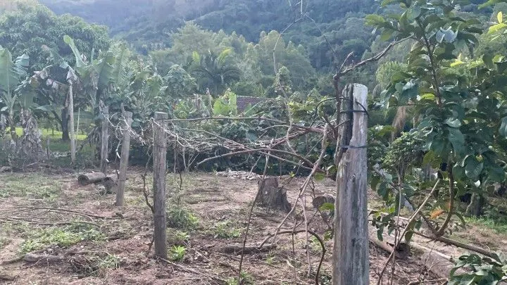 Chácara à venda de 1 ha em Rolante, RS, Brasil