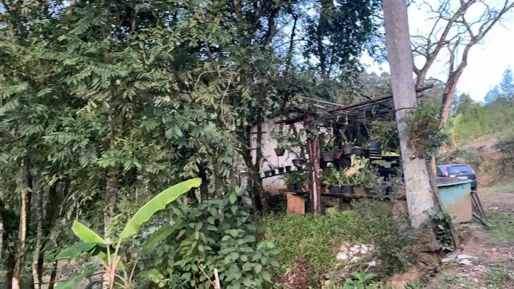 Chácara à venda de 1 ha em Rolante, RS, Brasil