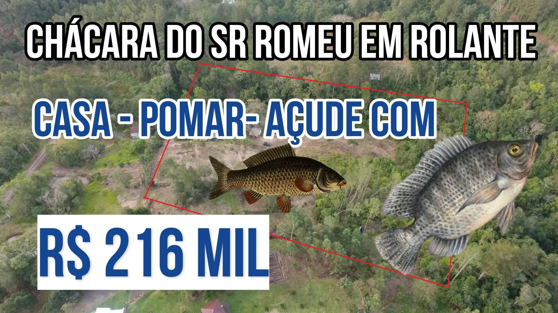Chácara à venda de 1 ha em Rolante, RS, Brasil