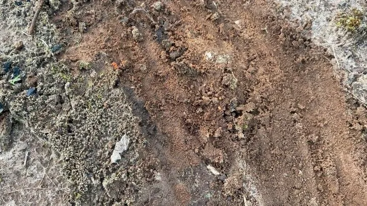 Chácara à venda de 1 ha em Rolante, RS, Brasil