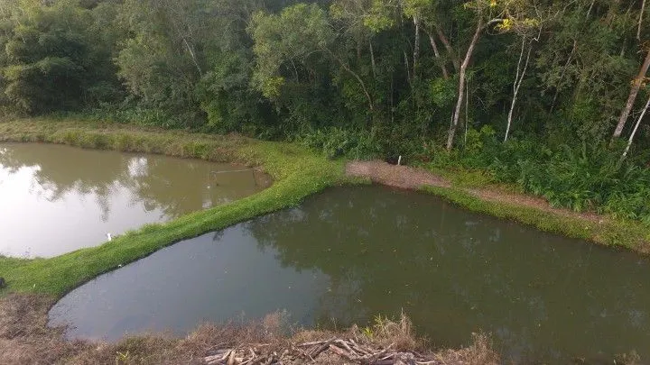 Chácara à venda de 1 ha em Rolante, RS, Brasil