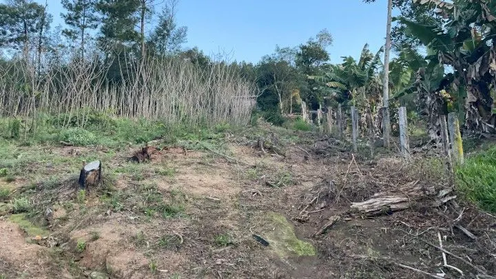 Chácara à venda de 1 ha em Rolante, RS, Brasil