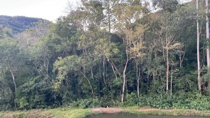 Chácara à venda de 1 ha em Rolante, RS, Brasil